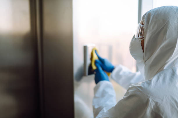 Best Toxic Mold Removal  in Munford, AL